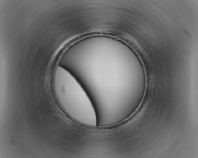 X0000114510923200910190926