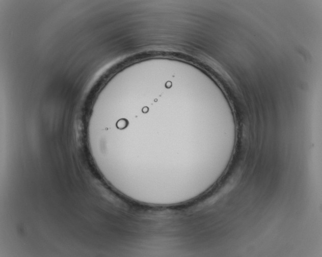 X0000114510926200910190926