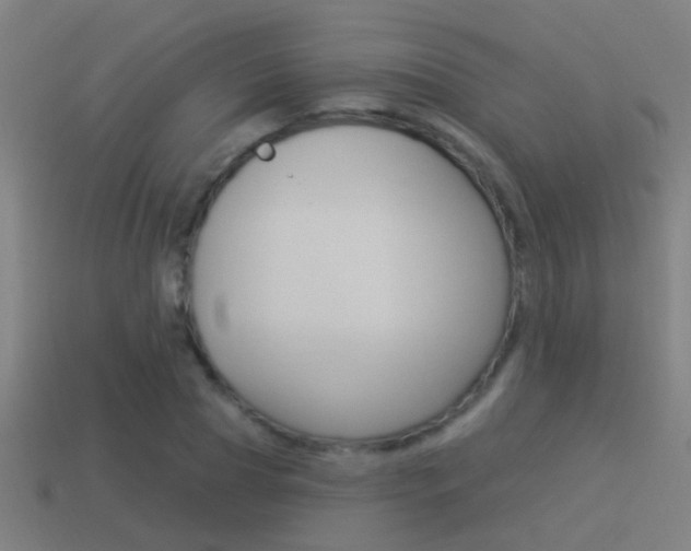 X0000114510929200910190926