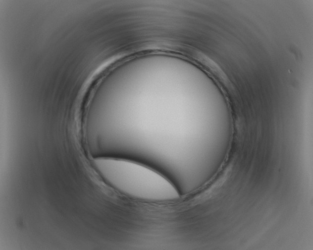 X0000114510931200910190926