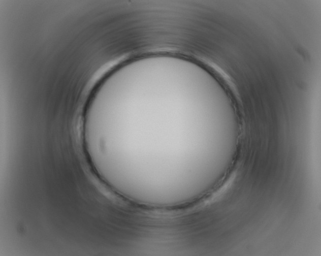 X0000114510933200910190926