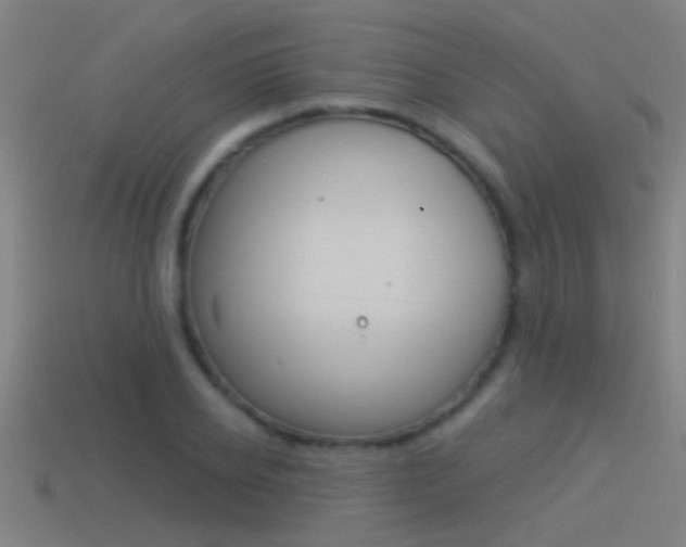 X0000114510934200910190926