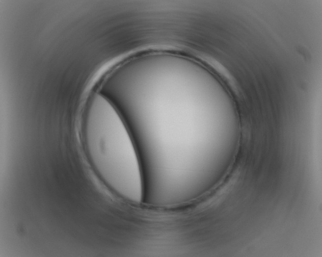 X0000114510935200910190926