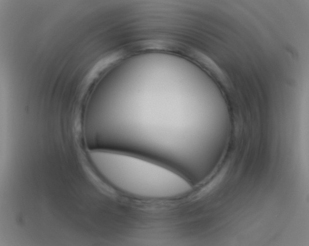 X0000114510938200910190926