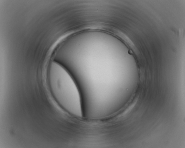 X0000114510939200910190926