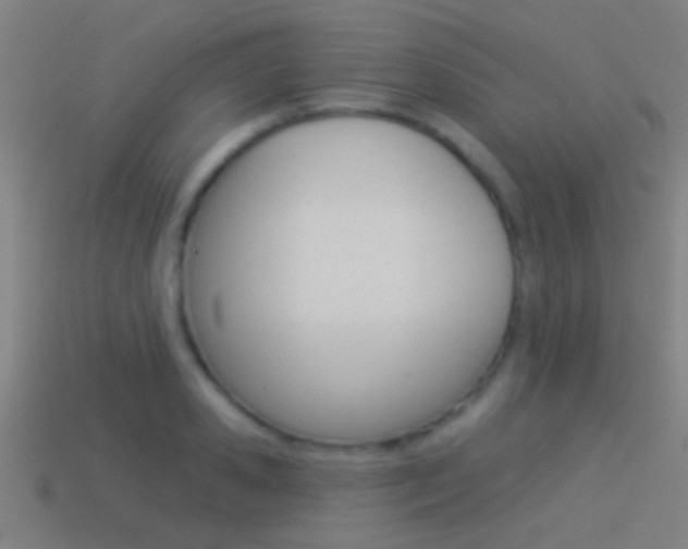 X0000114510941200910190926