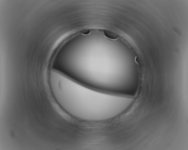 X0000114510942200910190926