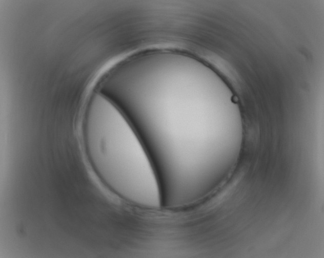X0000114510943200910190926