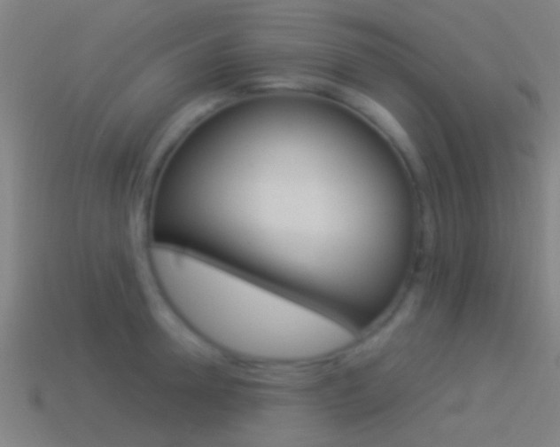 X0000114510946200910190926