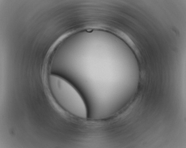 X0000114510947200910190926