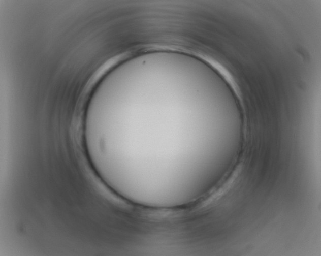 X0000114510949200910190926