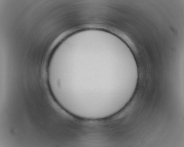 X0000114510950200910190926
