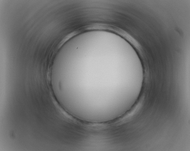 X0000114510953200910190926