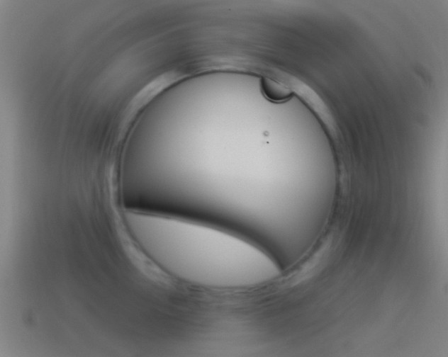 X0000114510954200910190926