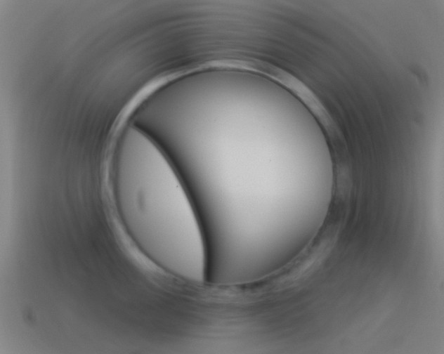 X0000114510955200910190926