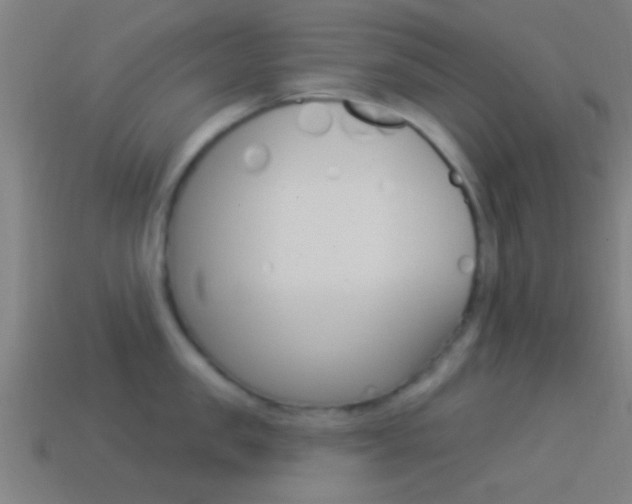 X0000114510957200910190926