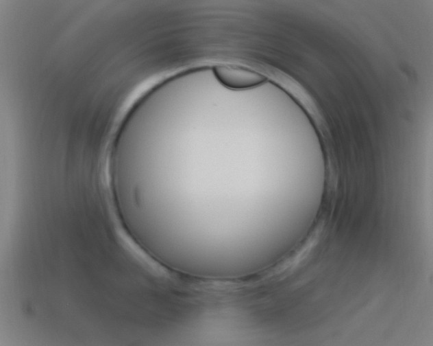 X0000114510958200910190926