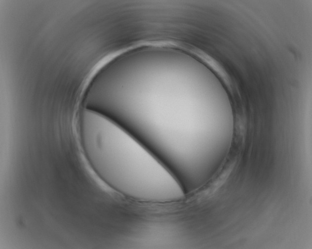 X0000114510959200910190926