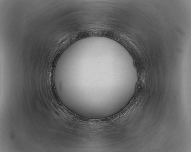 X0000114510964200910190926