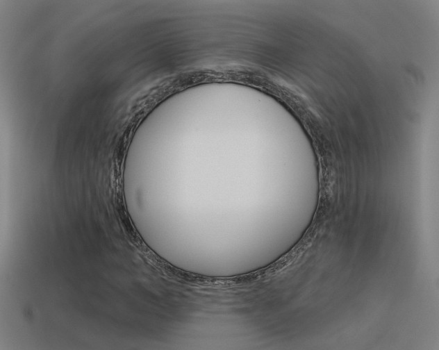 X0000114510966200910190926