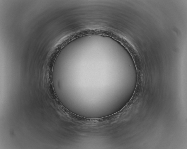X0000114510968200910190926