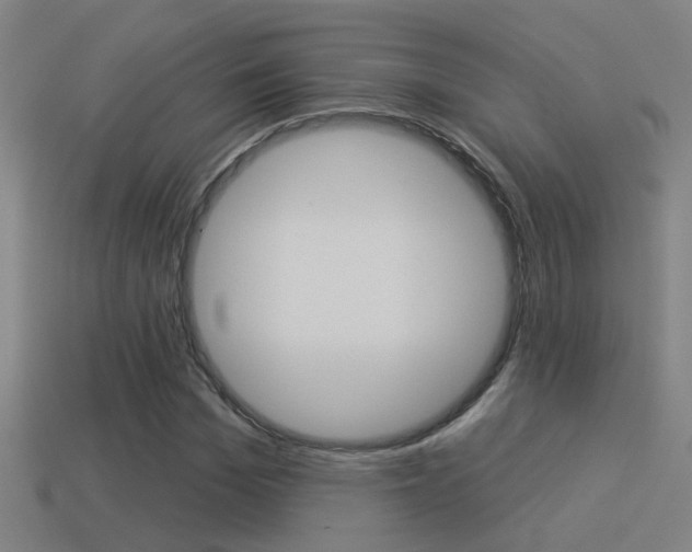 X0000114510969200910190925