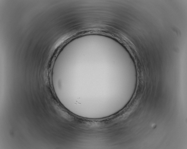 X0000114510970200910190925