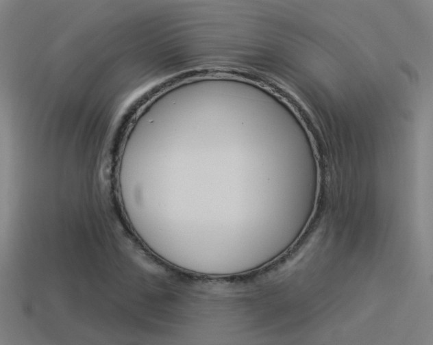 X0000114510971200910190925