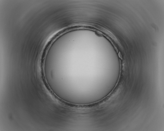 X0000114510972200910190925