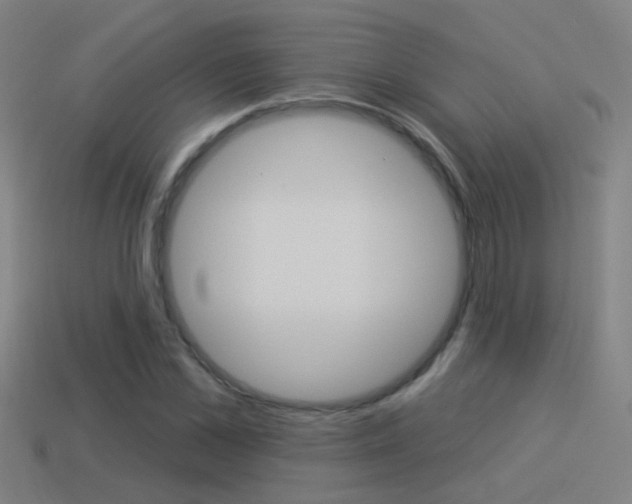 X0000114510973200910190925