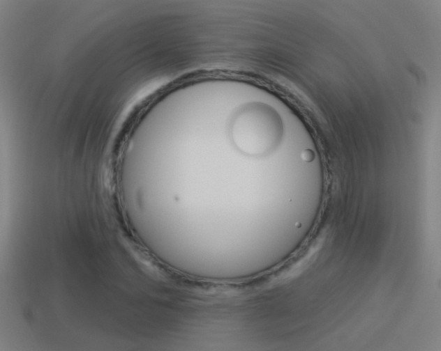 X0000114510974200910190925