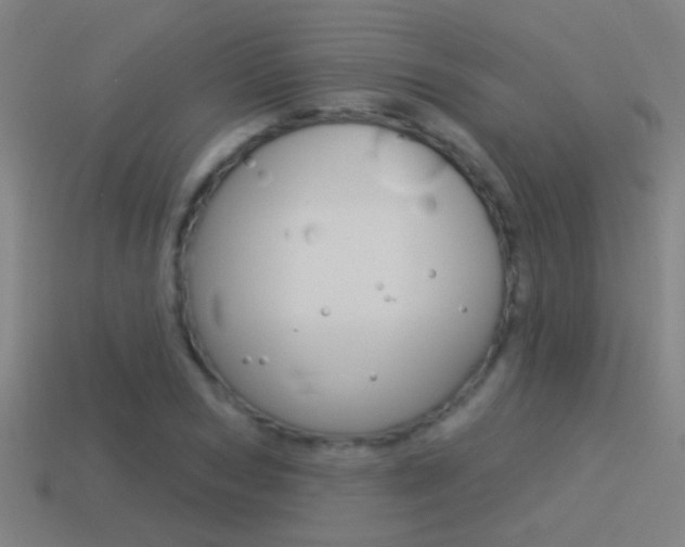 X0000114510978200910190925