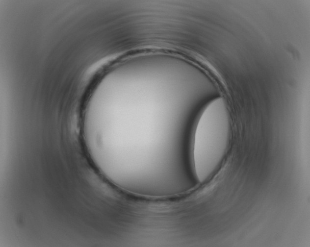 X0000114510979200910190925