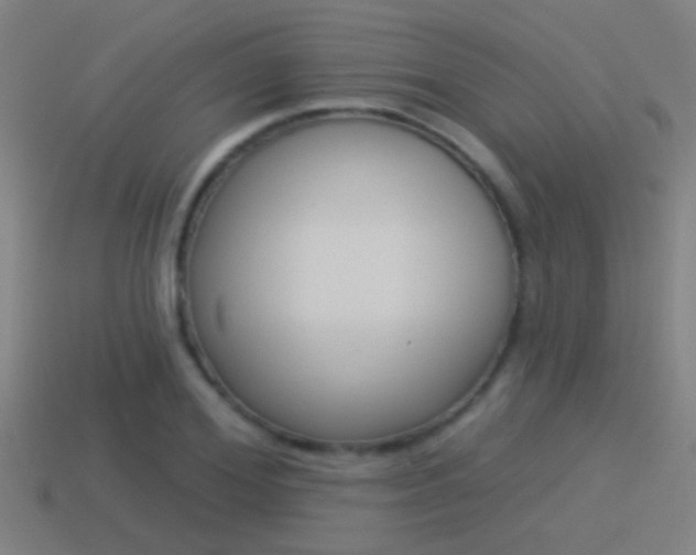 X0000114510980200910190925