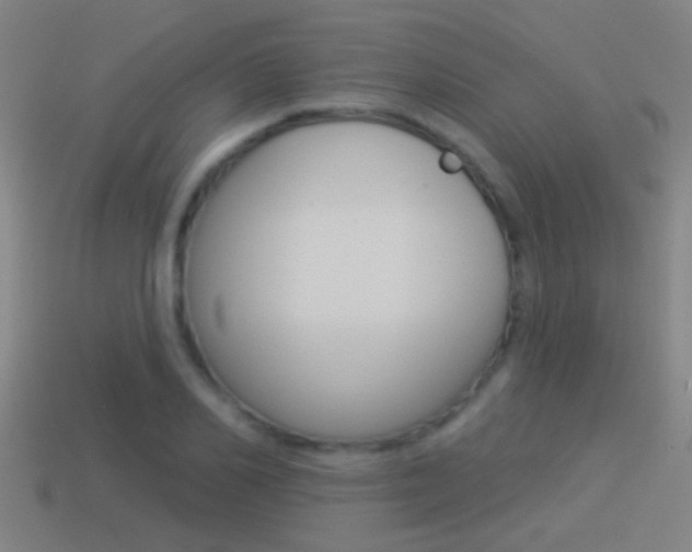X0000114510982200910190925