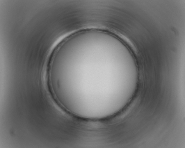 X0000114510983200910190925