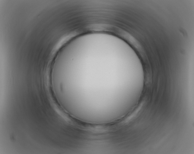 X0000114510986200910190925