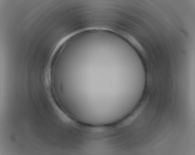 X0000114510988200910190925