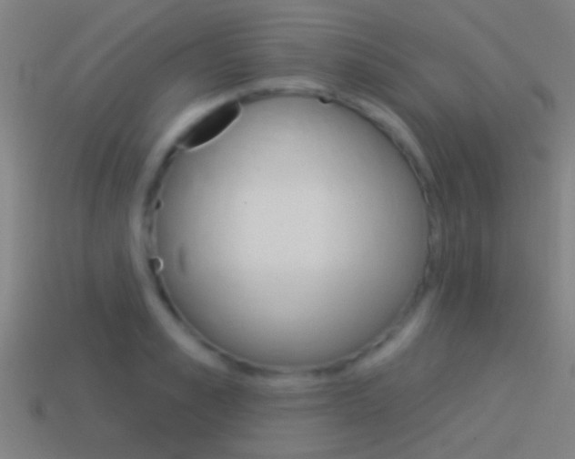 X0000114510989200910190925