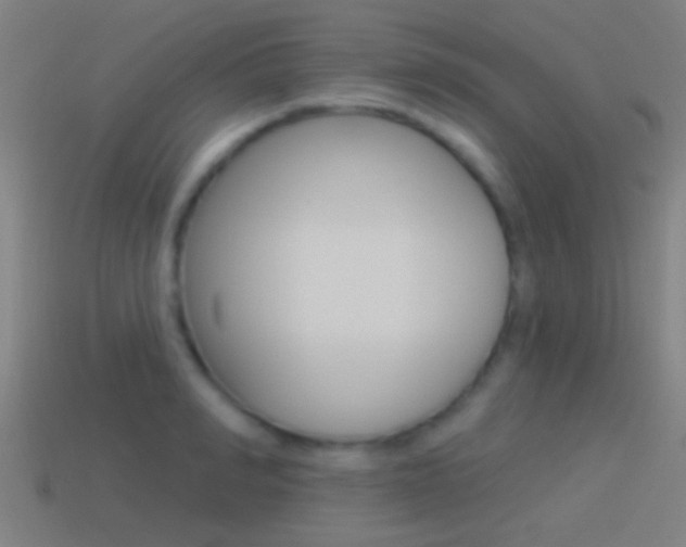 X0000114510990200910190925