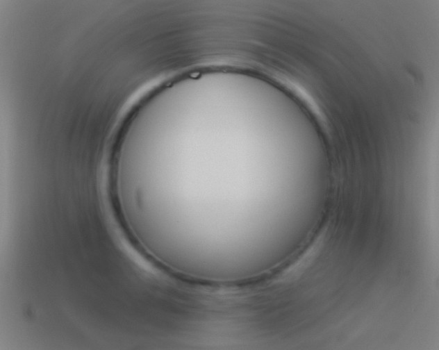 X0000114510991200910190925