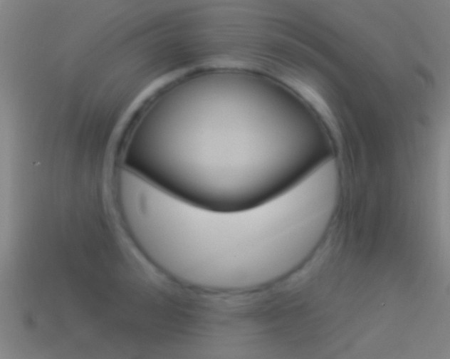 X0000114510992200910190925