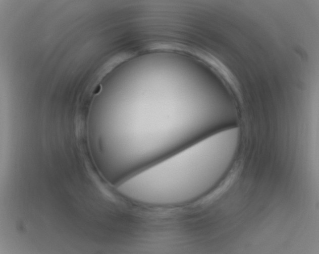 X0000114510993200910190925