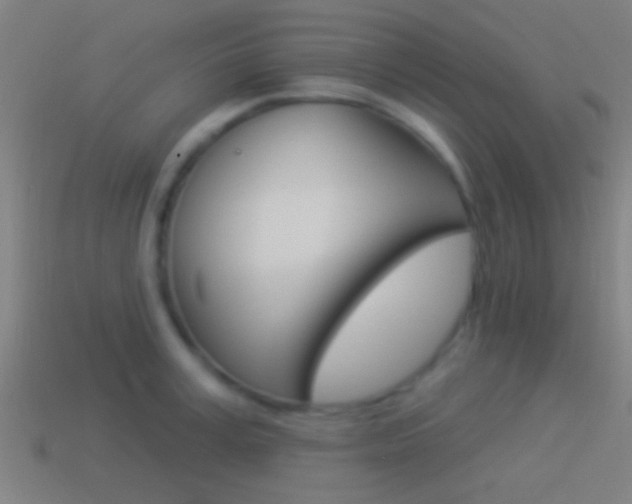 X0000114510995200910190925