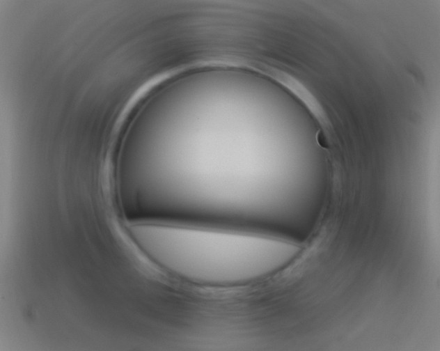 X0000114510996200910190925
