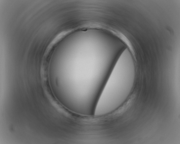 X0000114510997200910190925