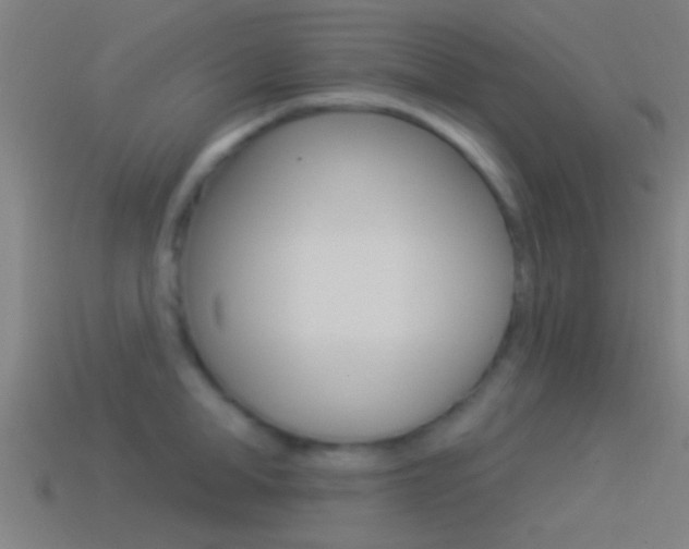 X0000114510998200910190925