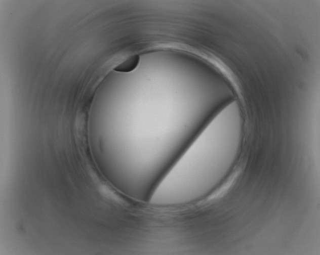 X0000114511001200910190925