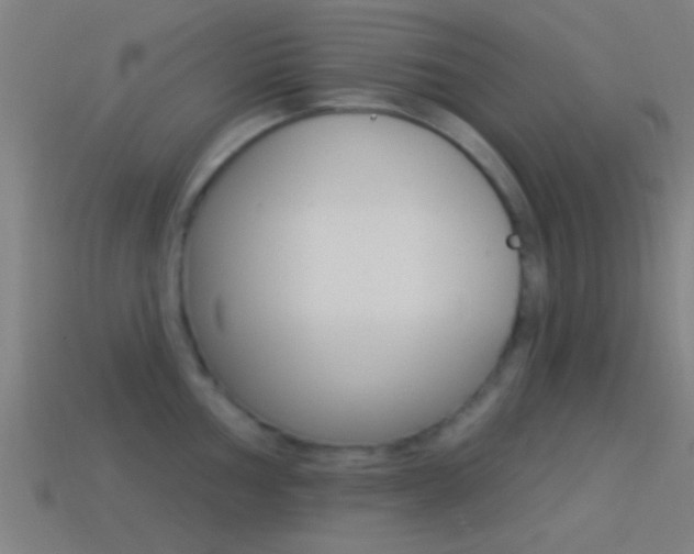 X0000114511002200910190925
