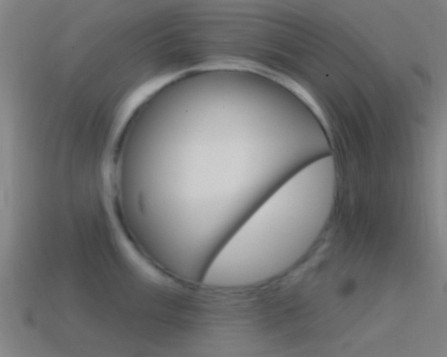 X0000114511003200910190925